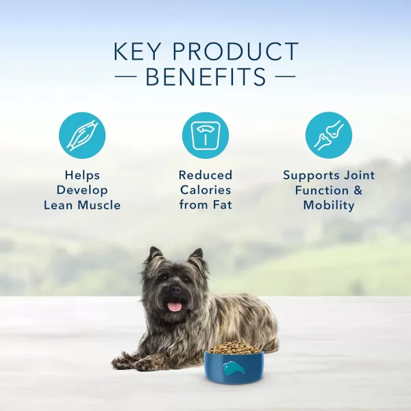 imageBlue Buffalo Life Protection Formula Natural Adult Small Breed Healthy Weight Dry Dog Food Chicken and Brown Rice 6lbChicken amp Brown Rice 5 Pound Pack of 1