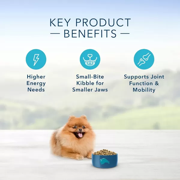 imageBlue Buffalo Life Protection Formula Natural Adult Toy Breed Dry Dog Food Chicken and Brown Rice 4lbDry Dog Food Chicken amp Brown Rice 4 Pound Pack of 1