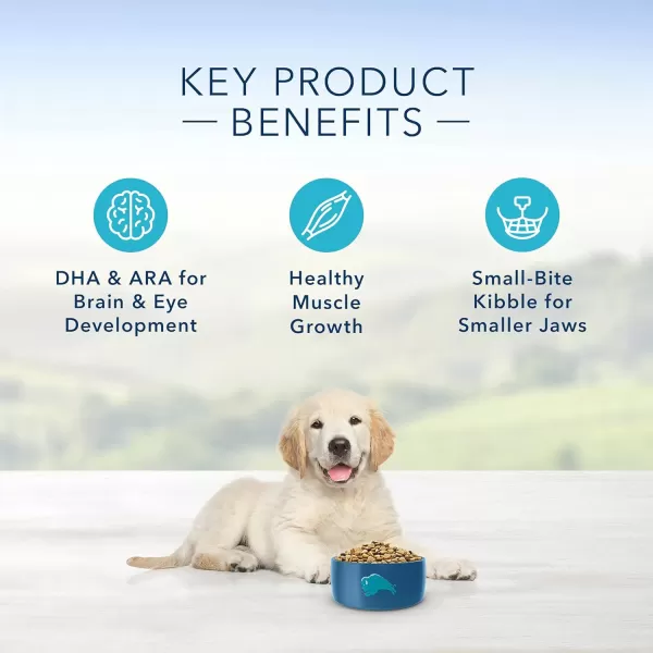 imageBlue Buffalo Life Protection Formula Natural Puppy Dry Dog Food Chicken and Brown Rice 6lbBlue Buffalo Life Protection Formula Natural Puppy Dry Dog Food Chicken and Brown Rice 6lb
