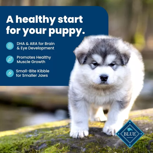 imageBlue Buffalo Life Protection Formula Natural Puppy Dry Dog Food Lamb and Oatmeal 34lbChicken amp Brown Rice 15 Pound Pack of 1