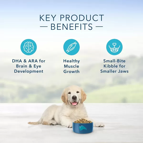 imageBlue Buffalo Life Protection Formula Natural Puppy Dry Dog Food Lamb and Oatmeal 34lbLamb amp Oatmeal 30 Pound Pack of 1