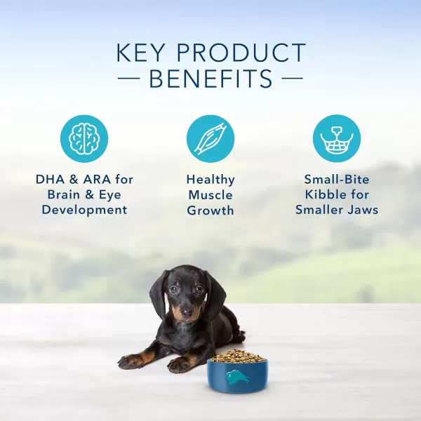 imageBlue Buffalo Life Protection Formula Natural Puppy Dry Dog Food Lamb and Oatmeal 6lbChicken amp Oatmeal 1500 Pound Pack of 1