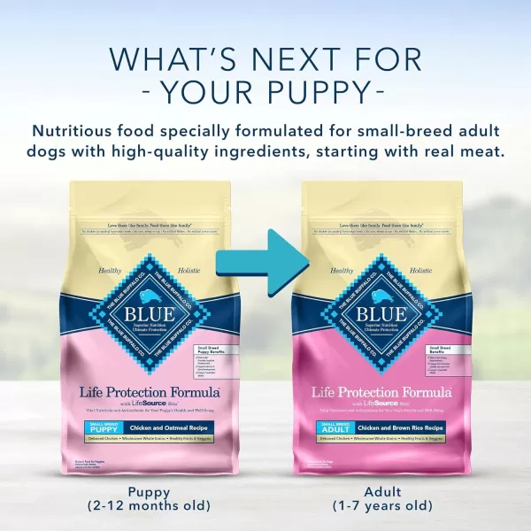 imageBlue Buffalo Life Protection Formula Natural Puppy Dry Dog Food Lamb and Oatmeal 6lbChicken amp Oatmeal 1500 Pound Pack of 1