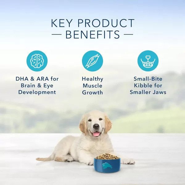 imageBlue Buffalo Life Protection Formula Natural Puppy Dry Dog Food Lamb and Oatmeal 6lbLamb amp Oatmeal 600 Pound Pack of 1