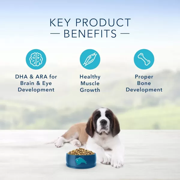 imageBlue Buffalo Life Protection Formula Natural Puppy Large Breed Dry Dog Food Chicken and Brown Rice 30lb30 Pound Pack of 1