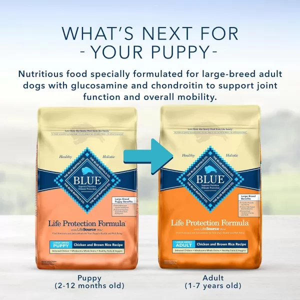 imageBlue Buffalo Life Protection Formula Natural Puppy Large Breed Dry Dog Food Chicken and Brown Rice 30lb34 Pound Pack of 1