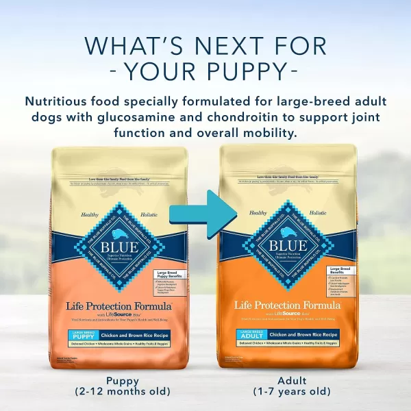 imageBlue Buffalo Life Protection Formula Natural Puppy Large Breed Dry Dog Food Chicken and Brown Rice 34lbBlue Buffalo Life Protection Formula Natural Puppy Large Breed Dry Dog Food Chicken and Brown Rice 34lb