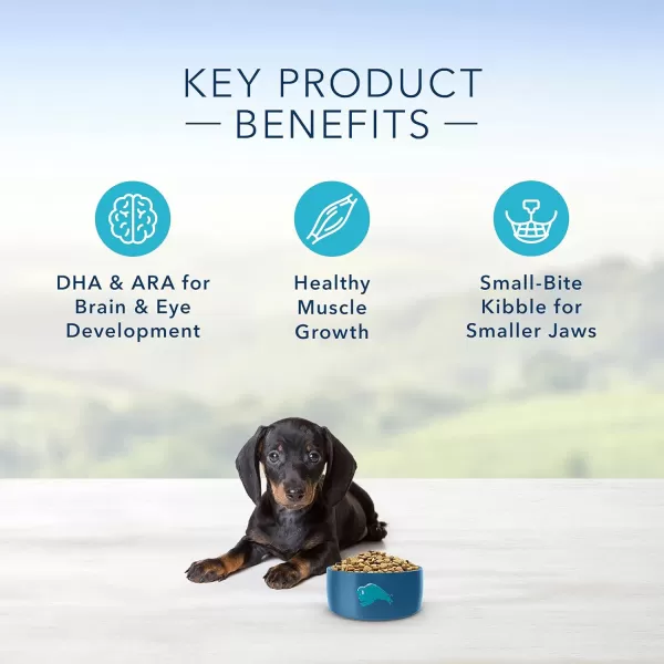imageBlue Buffalo Life Protection Formula Natural Puppy Small Breed Dry Dog Food Chicken and Oatmeal 6lbBlue Buffalo Life Protection Formula Natural Puppy Small Breed Dry Dog Food Chicken and Oatmeal 6lb