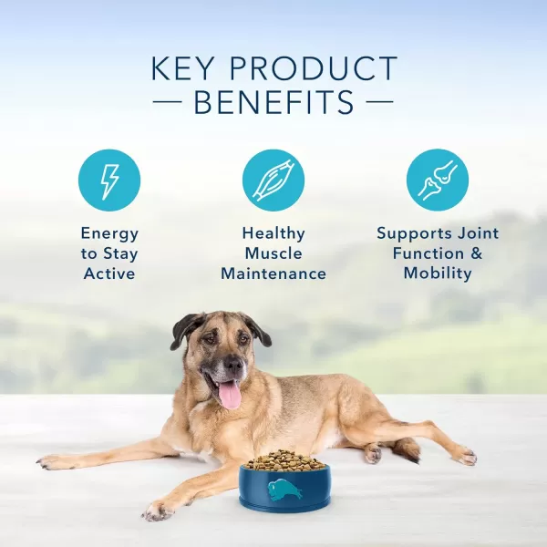 imageBlue Buffalo Life Protection Formula Natural Senior Dog Food Bundle Dry Dog Food and Wet Dog Food Chicken 30lb Dry Food  125oz cans 12ctDry Dog Food 15 Pound Pack of 1