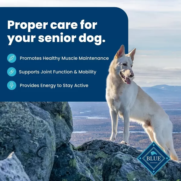 imageBlue Buffalo Life Protection Formula Natural Senior Dog Food Bundle Dry Dog Food and Wet Dog Food Chicken 30lb Dry Food  125oz cans 12ctDry Dog Food 30 Pound Pack of 1