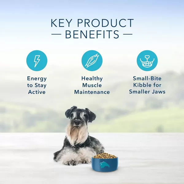 imageBlue Buffalo Life Protection Formula Natural Senior Small Breed Dry Dog Food Chicken and Brown Rice 15lb15 Pound Pack of 1