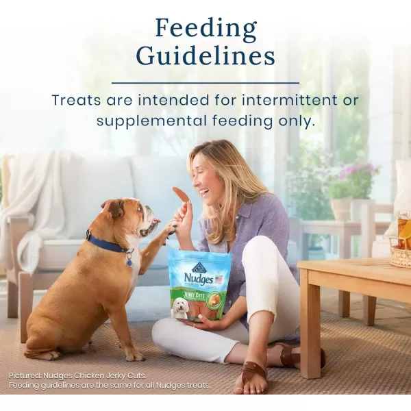 imageBlue Buffalo Nudges Jerky Chews Natural Dog Treats Small Breed Beef 10oz Bag 10 CountChicken 1 Count Pack of 1