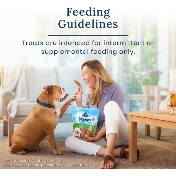 imageBlue Buffalo Nudges Jerky Chews Natural Dog Treats Small Breed Beef 10oz Bag 10 CountChicken 12 Ounce Pack of 1