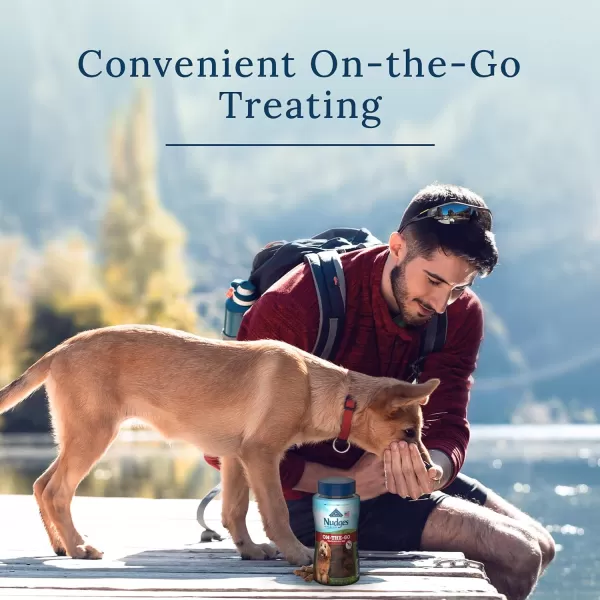 imageBlue Buffalo Nudges On The Go Natural Dog Treats Beef 55oz Reusable ContainerBlue Buffalo Nudges On The Go Natural Dog Treats Beef 55oz Reusable Container