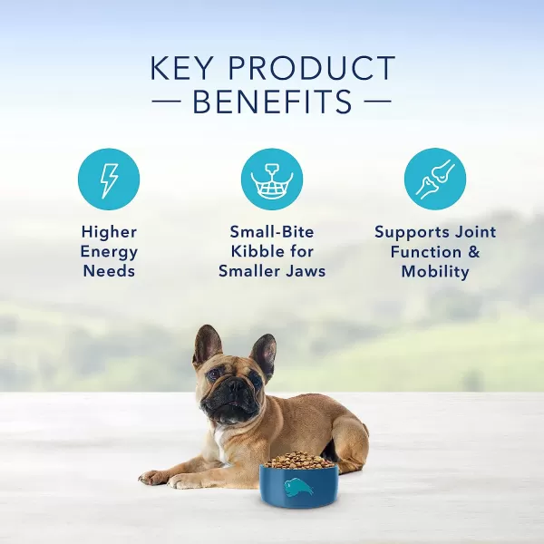 imageBlue Buffalo Small Breed Dog Food Life Protection Formula Natural Chicken amp Brown Rice Flavor Adult Dry Dog Food 15 lb BagChicken amp Brown Rice 15 Pound Pack of 1