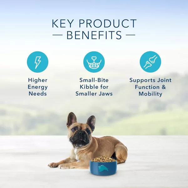 imageBlue Buffalo Small Breed Dog Food Life Protection Formula Natural Chicken amp Brown Rice Flavor Adult Dry Dog Food 15 lb BagChicken amp Brown Rice 5 Pound Pack of 1