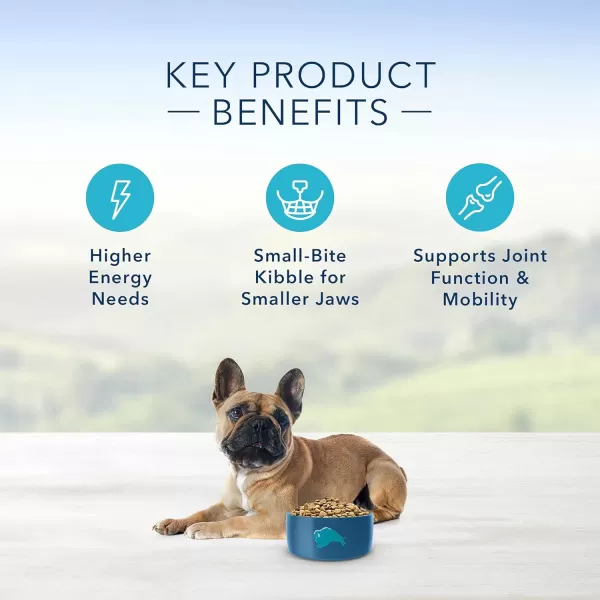 imageBlue Buffalo Small Breed Dog Food Life Protection Formula Natural Chicken amp Brown Rice Flavor Adult Dry Dog Food 15 lb BagChicken amp Brown Rice 6 Pound Pack of 1