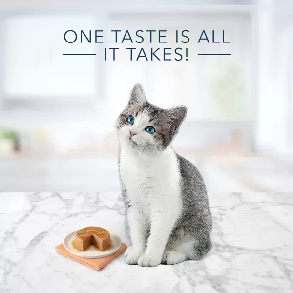 imageBlue Buffalo Tastefuls Natural Kitten Pate Wet Cat Food Chicken Entre 3oz cans Pack of 24Blue Buffalo Tastefuls Natural Kitten Pate Wet Cat Food Chicken Entre 3oz cans Pack of 24