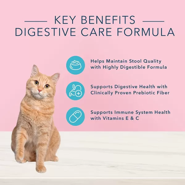 imageBlue Buffalo True Solutions Blissful Belly Natural Digestive Care Adult Dry Cat Food Chicken 11lbDry Cat Food Chicken 11 Pound Pack of 1
