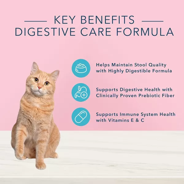 imageBlue Buffalo True Solutions Blissful Belly Natural Digestive Care Adult Dry Cat Food Chicken 11lbWet Cat Food Chicken 3 Ounce Pack of 24