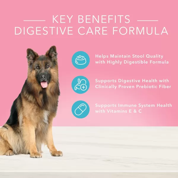 imageBlue Buffalo True Solutions Blissful Belly Natural Digestive Care Adult Dry Dog Food Chicken 24lbChicken Dry Dog Food 11 Pound Pack of 1