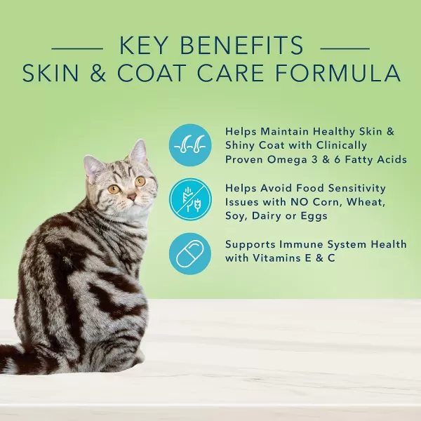imageBlue Buffalo True Solutions Perfect Skin amp Coat Natural Adult Wet Cat Food Whitefish 3oz cans Pack of 24Dry Cat Food Salmon 11 Pound Pack of 1