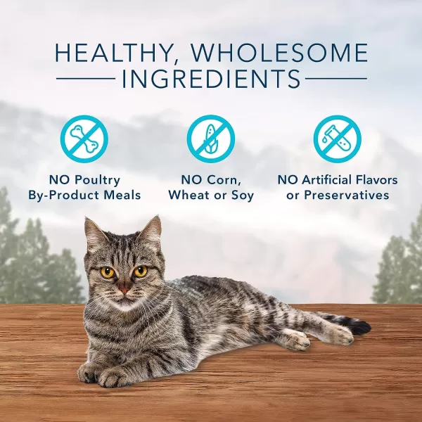 imageBlue Buffalo Wilderness Grain Free SoftMoist Cat Treats Chicken amp Salmon 2oz BagChicken amp Duck 2 Ounce Pack of 1