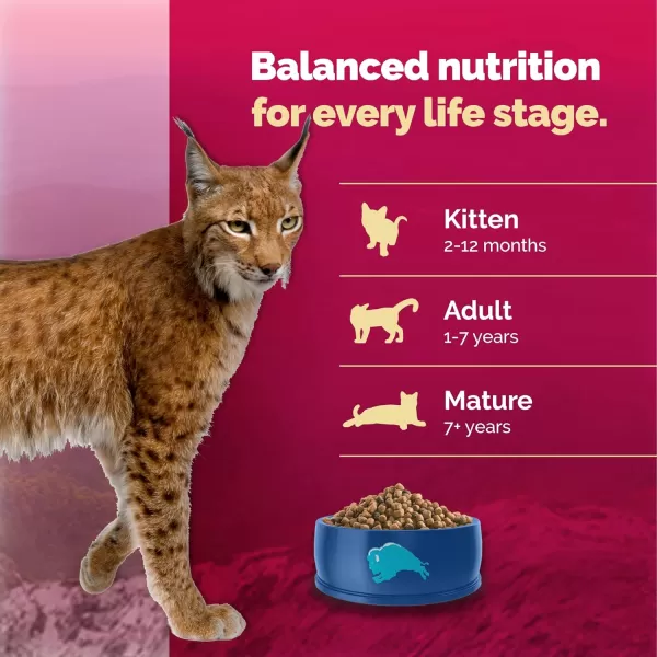 imageBlue Buffalo Wilderness High Protein Natural Adult Dry Cat Food Duck 5lbSalmon 5 Pound Pack of 1