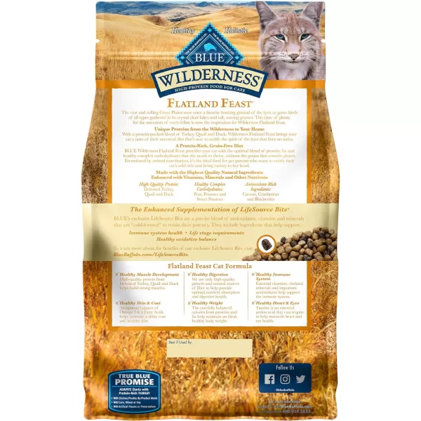 imageBlue Buffalo Wilderness High Protein Natural Adult Dry Cat Food Flatland Feast with Turkey Quail amp Duck 4lbTurkey Quail amp Duck 4 Pound Pack of 1