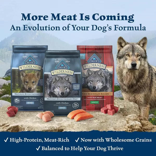imageBlue Buffalo Wilderness High Protein Natural Adult Dry Dog Food Chicken 24lbChicken Grain Free 45 Pound Pack of 1