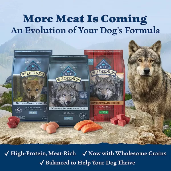 imageBlue Buffalo Wilderness High Protein Natural Adult Dry Dog Food Chicken 24lbDuck Grain Free 11 Pound Pack of 1