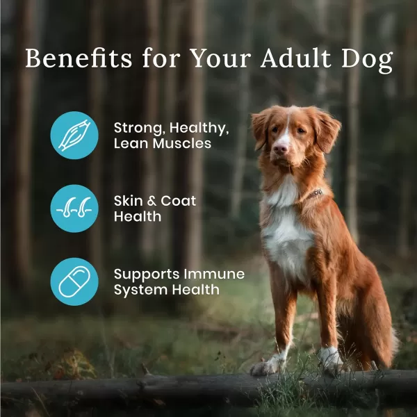 imageBlue Buffalo Wilderness High Protein Natural Adult Dry Dog Food plus Wholesome Grains Salmon 45 lb bagSalmon plus Wholesome Grains 28 Pound Pack of 1