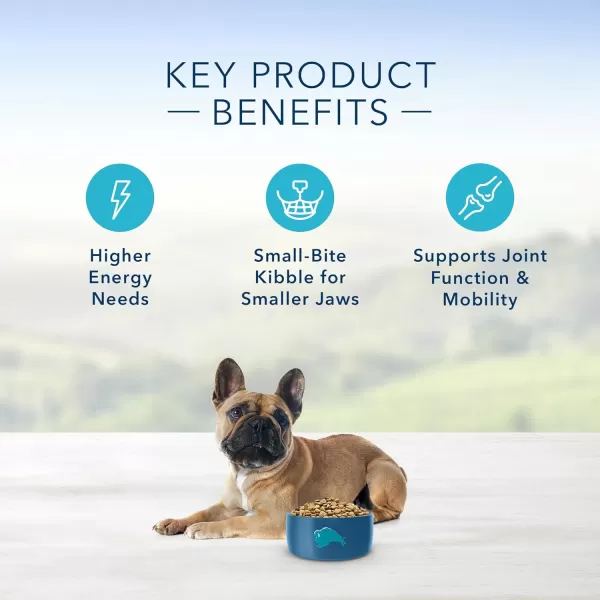 imageBlue Buffalo Wilderness High Protein Natural Adult Healthy Weight Dry Dog Food Chicken 45lbLamb amp Brown Rice 15 Pound Pack of 1