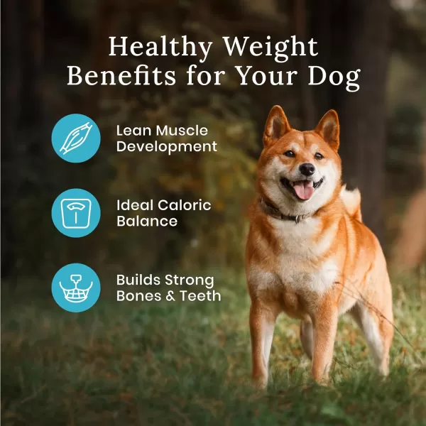 imageBlue Buffalo Wilderness High Protein Natural Adult Healthy Weight Dry Dog Food Chicken 45lbRed Meat with Grain 2800 Pound Pack of 1