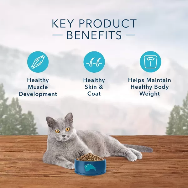 imageBlue Buffalo Wilderness High Protein Natural Adult Indoor Dry Cat Food Chicken 11lbChicken 11 Pound Pack of 1