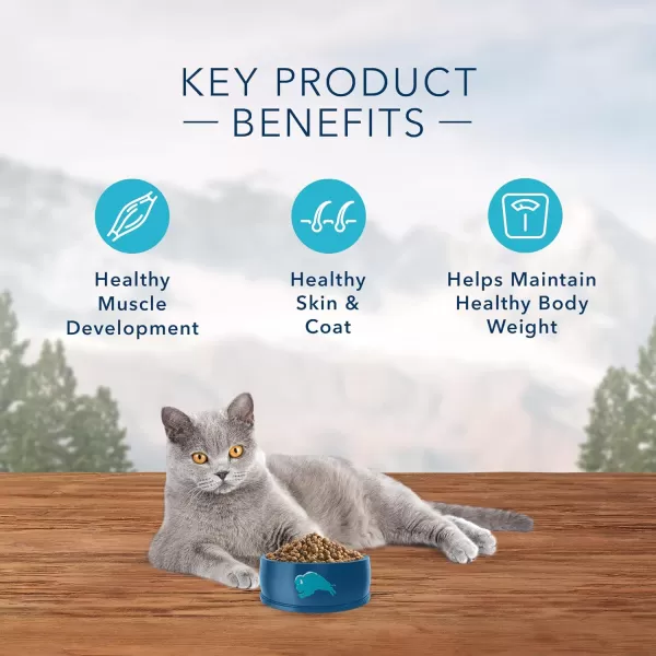 imageBlue Buffalo Wilderness High Protein Natural Adult Indoor Dry Cat Food Chicken 5lbChicken 5 Pound Pack of 1