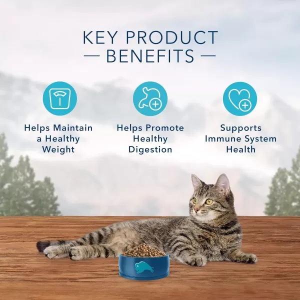 imageBlue Buffalo Wilderness High Protein Natural Adult Weight Control Dry Cat Food Chicken 11lbChicken 11 Pound Pack of 1