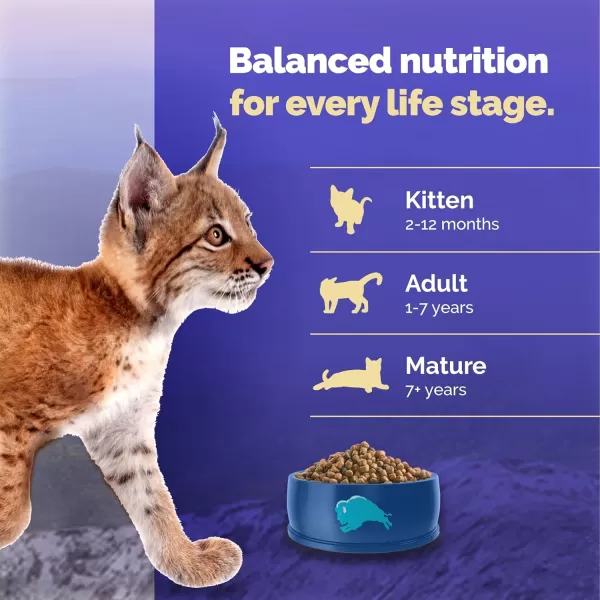 imageBlue Buffalo Wilderness High Protein Natural Grain Free Kitten Food Bundle Dry Cat Food and Wet Cat Food Chicken 5lb Dry Food  3oz cans 24ctChicken 5 Pound Pack of 1