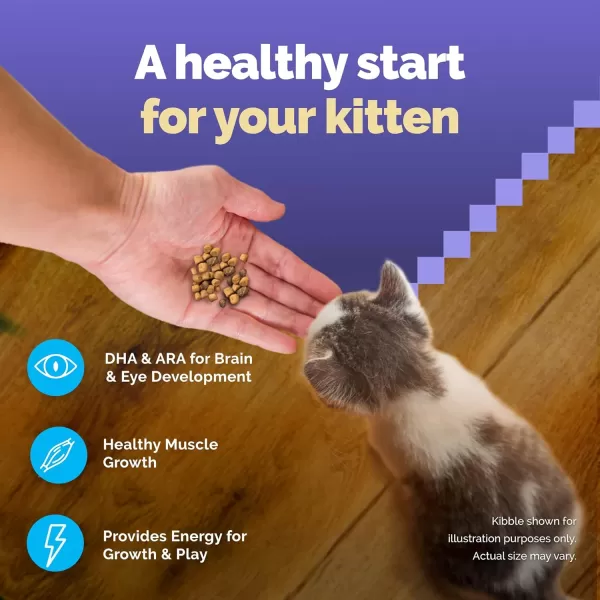 imageBlue Buffalo Wilderness High Protein Natural Grain Free Kitten Food Bundle Dry Cat Food and Wet Cat Food Chicken 5lb Dry Food  3oz cans 24ctChicken 5 Pound Pack of 1