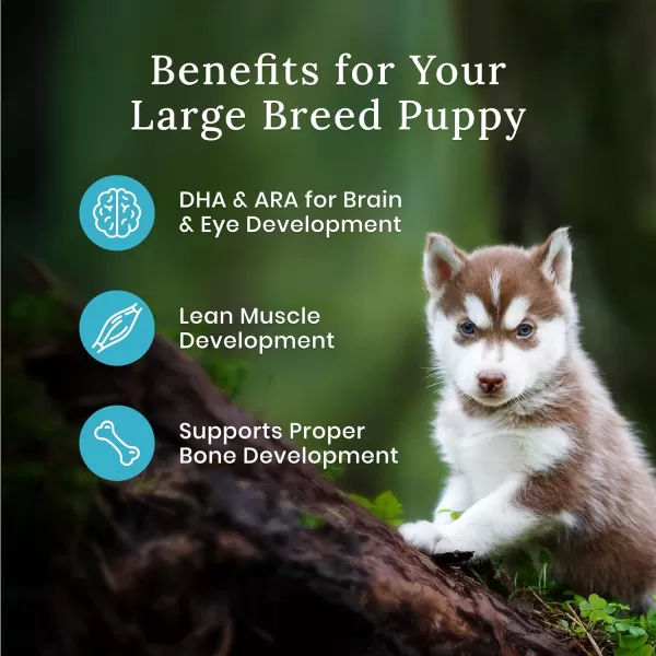 imageBlue Buffalo Wilderness High Protein Natural Large Breed Puppy Dry Dog Food plus Wholesome Grains Chicken 28 lb bagBlue Buffalo Wilderness High Protein Natural Large Breed Puppy Dry Dog Food plus Wholesome Grains Chicken 28 lb bag