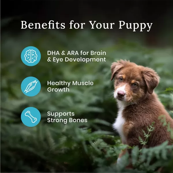 imageBlue Buffalo Wilderness High Protein Natural Puppy Dry Dog Food plus Wholesome Grains Chicken 28 lb bag13 lb