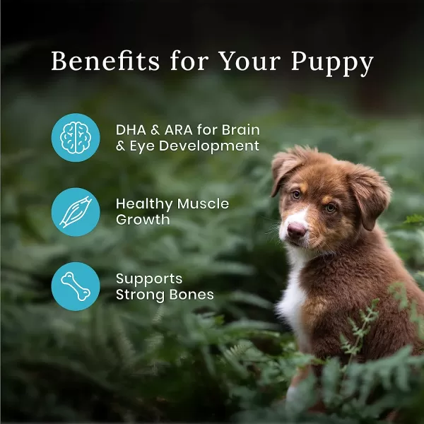 imageBlue Buffalo Wilderness High Protein Natural Puppy Dry Dog Food plus Wholesome Grains Chicken 28 lb bag24 lb