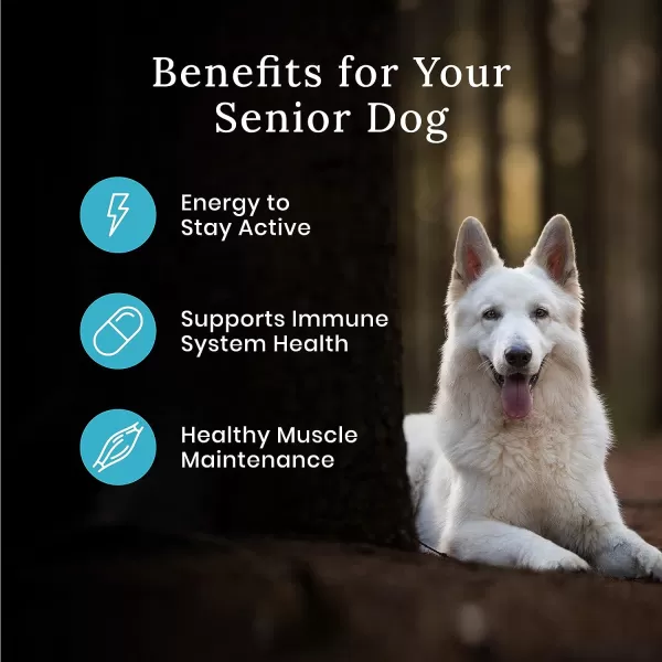 imageBlue Buffalo Wilderness High Protein Natural Senior Dry Dog Food plus Wholesome Grains Chicken 24 lb bag24 Pound Pack of 1