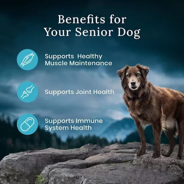 imageBlue Buffalo Wilderness High Protein Natural Senior Dry Dog Food plus Wholesome Grains Chicken 28 lb bag24 LBS