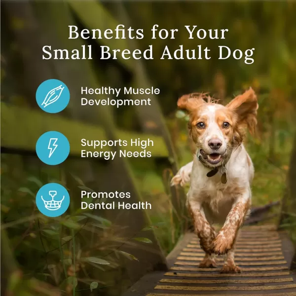 imageBlue Buffalo Wilderness High Protein Natural Small Breed Adult Dry Dog Food plus Wholesome Grains Chicken 13 lb bag13 Pound Pack of 1