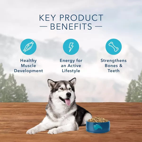 imageBlue Buffalo Wilderness Rocky Mountain Recipe High Protein Natural Adult Dry Dog Food Red Meat 22lbRed Meat 4 Pound Pack of 1