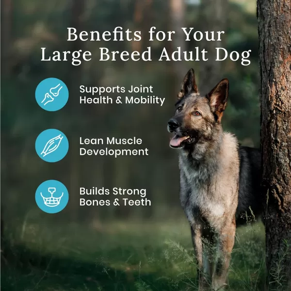 imageBlue Buffalo Wilderness Rocky Mountain Recipe High Protein Natural Large Breed Adult Dry Dog Food Red Meat with Grain 24 lb bagRed Meat with Grain 2400 Pound Pack of 1