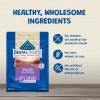 imageBlue Buffalo Dental Bones Large Natural Dental Chew Dog Treats Bag Jumbo PackLarge Bones For Dogs 50 lbs