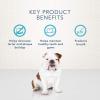 imageBlue Buffalo Dental Bones Mini Natural Dental Chew Dog Treats Bag Value PackMini Bones For Dogs 515 lbs