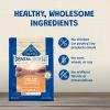 imageBlue Buffalo Dental Bones Small Natural Dental Chew Dog Treats Bag Value PackUnflavored